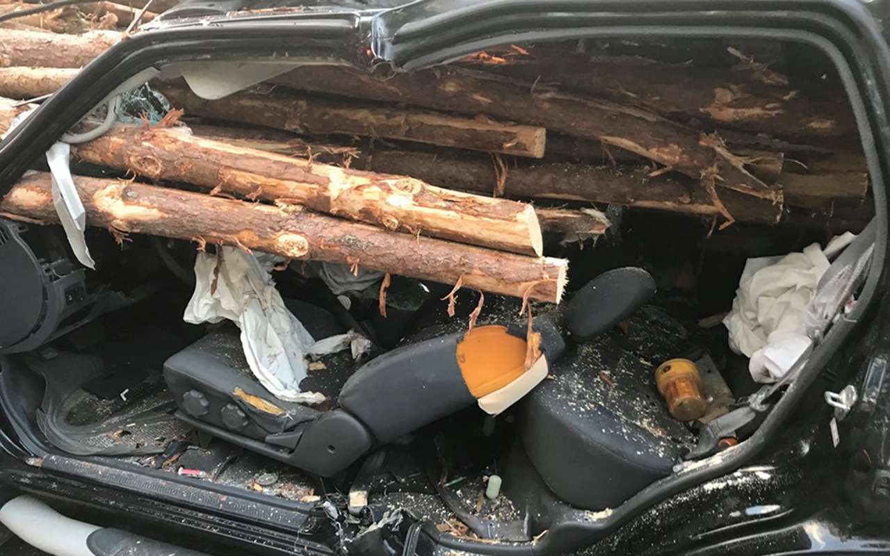 Водитель чудом выжил, попав под «водопад» из бревен