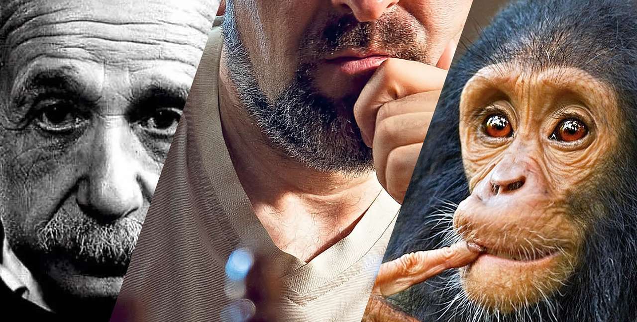 Авто-IQ: проверь свои знания