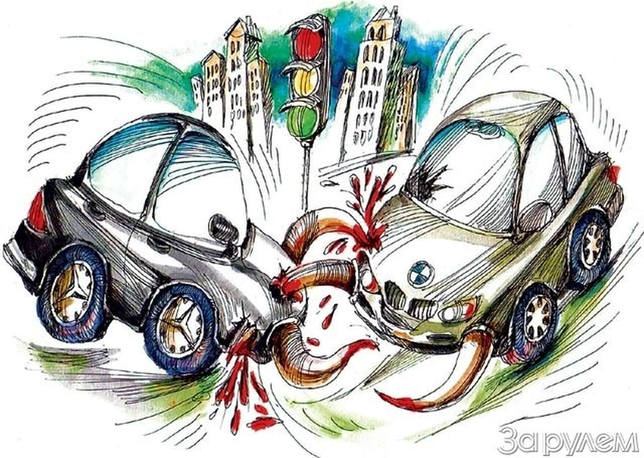 Следствие ведет ЗР. Дело о ночной аварии