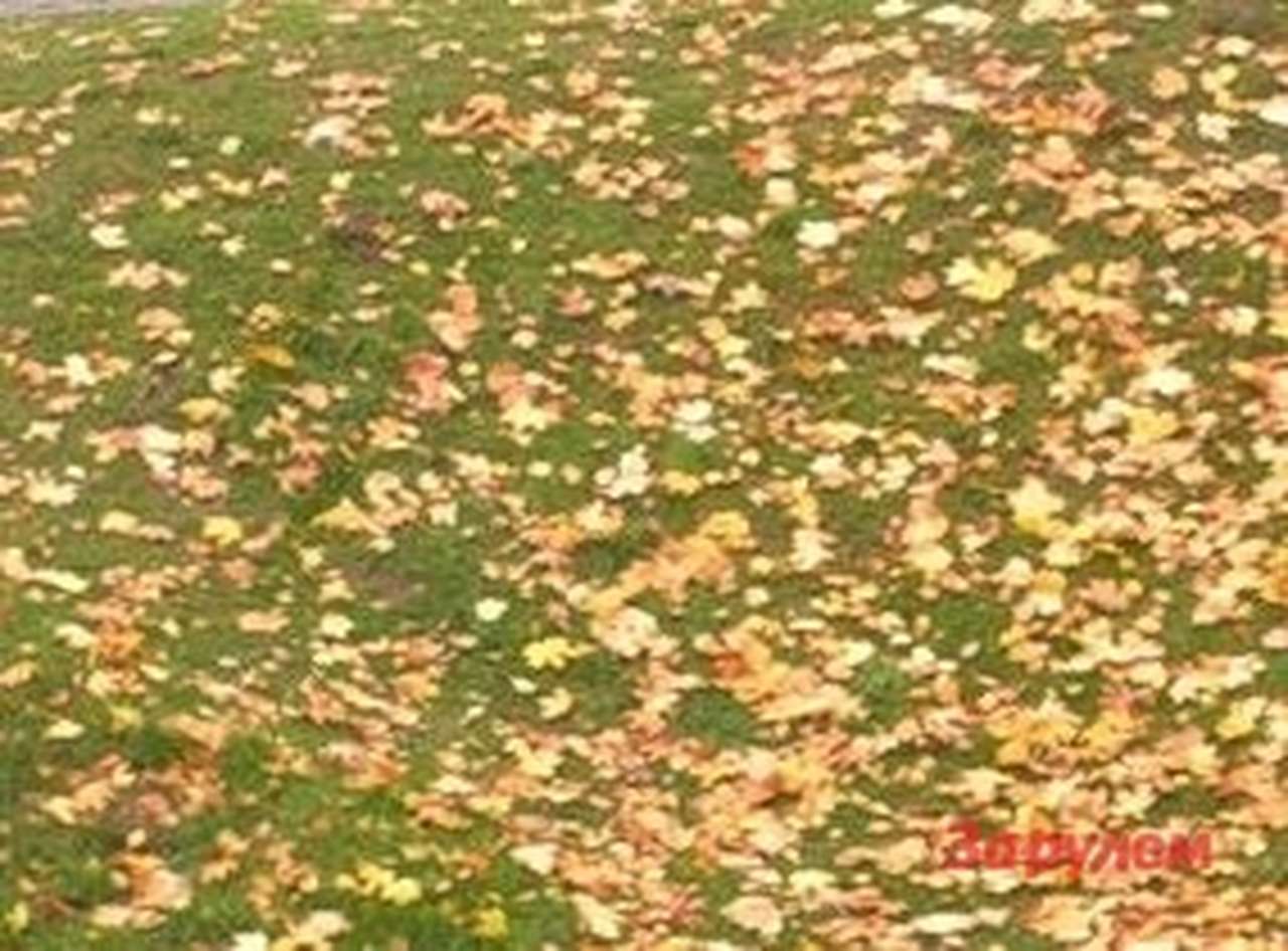 Водителей предупредили: грядут заморозки