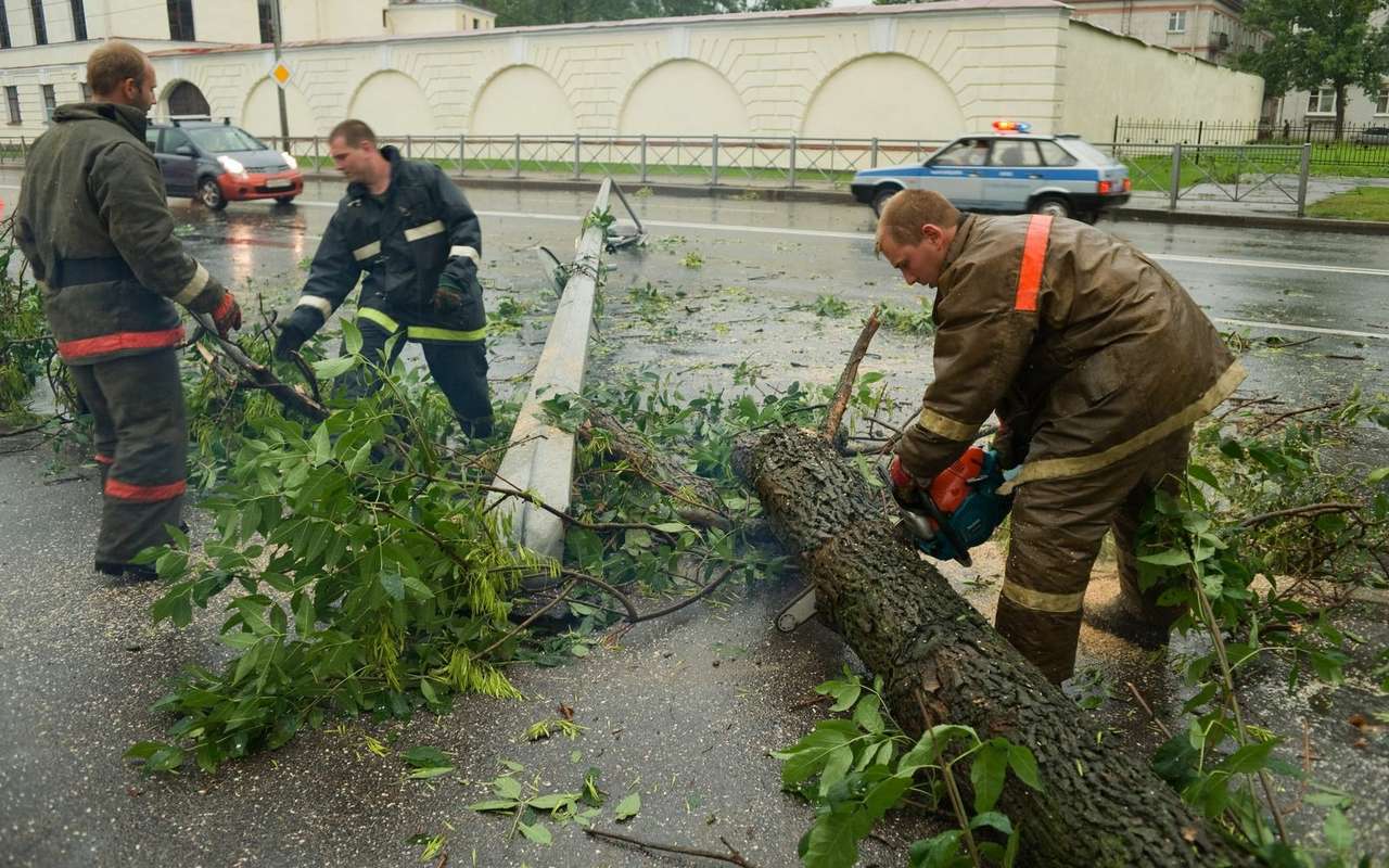 Автоледи отсудила у мэрии компенсацию за упавший на машину столб