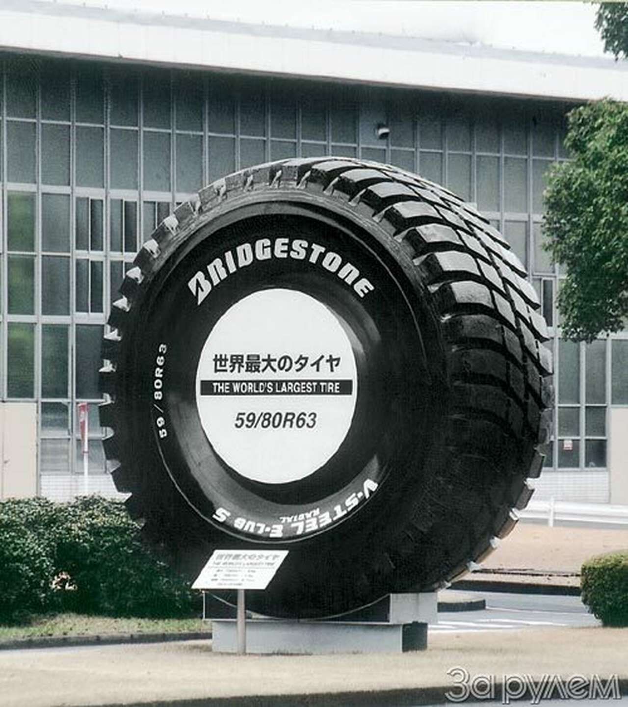 Рыбное блюдо