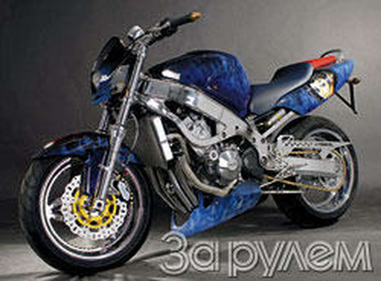 Водяные псы