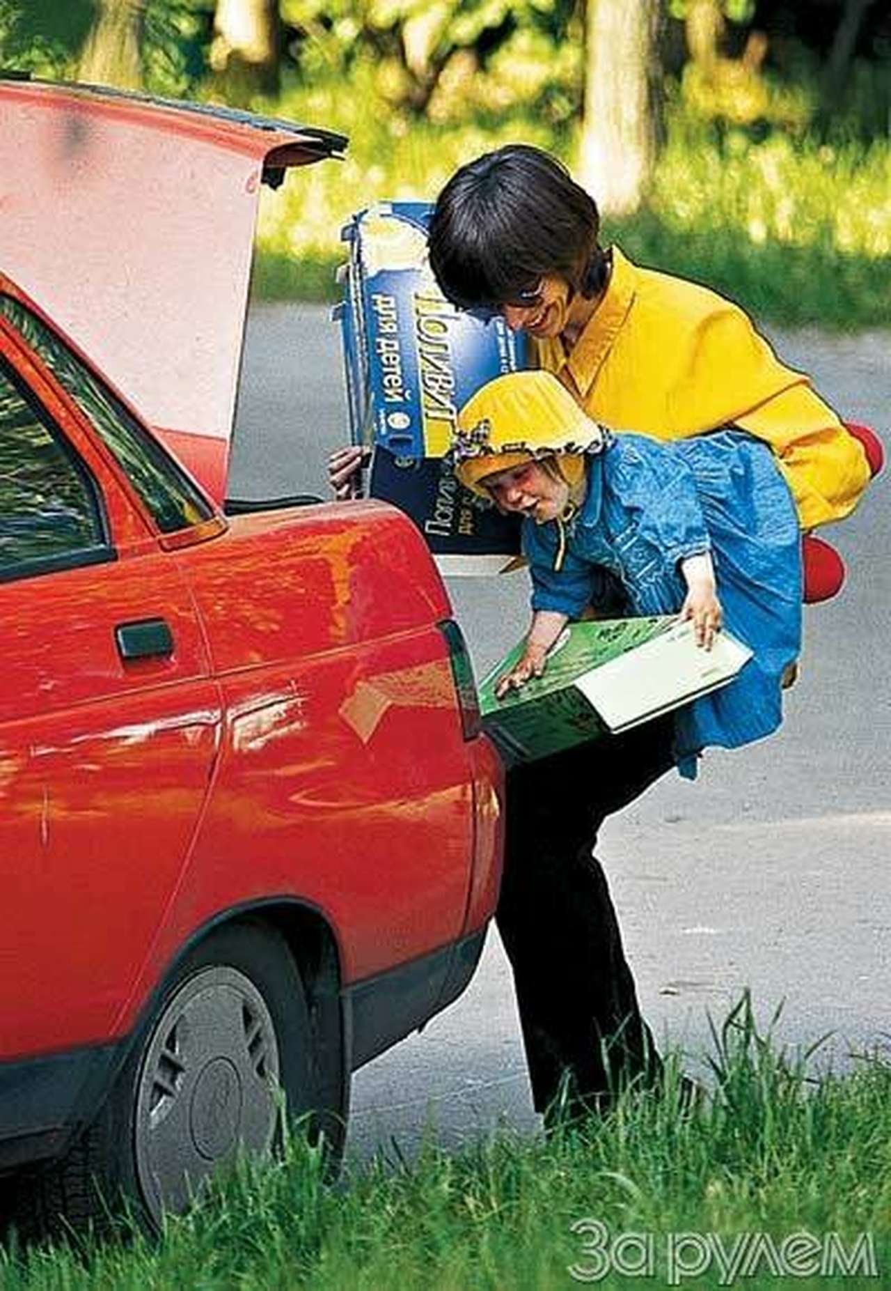 Для детей, кота и взрослых