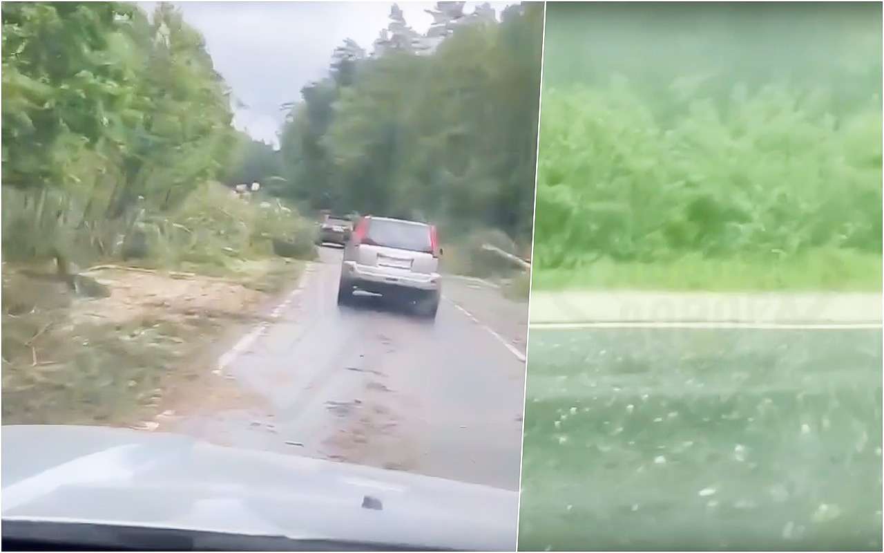 Во Владимирской области град завалил трассу сломанными деревьями (видео)