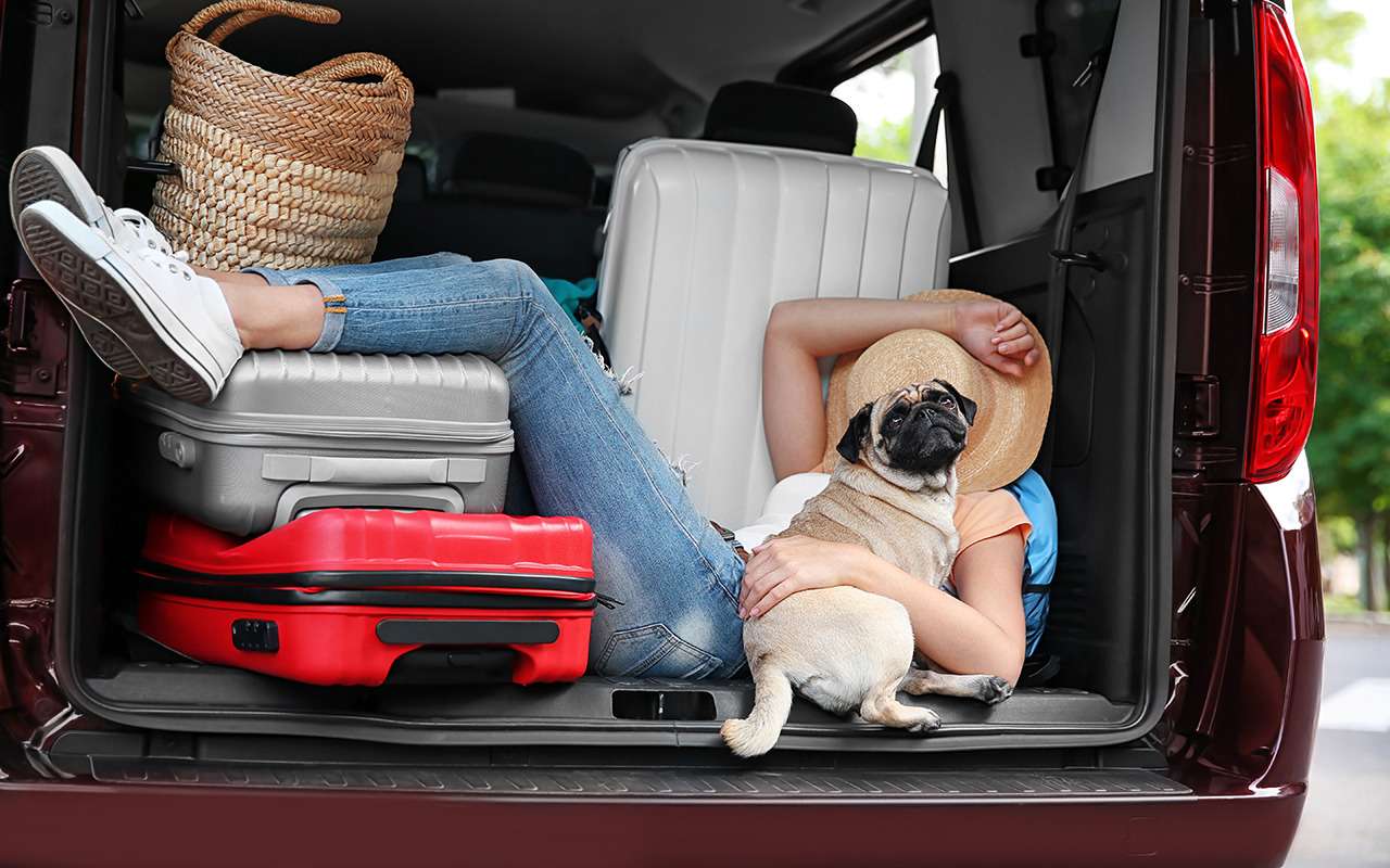 8+ вещей, которые (точно!) выручат в автопутешествии