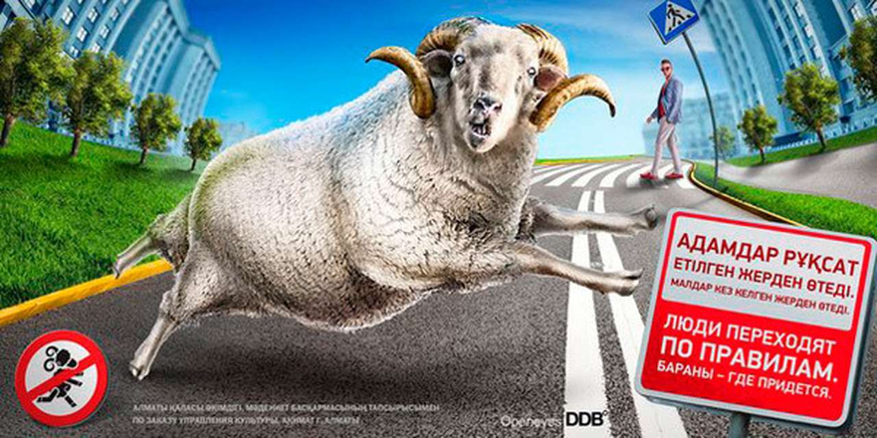 Казахских пешеходов приравняли к баранам