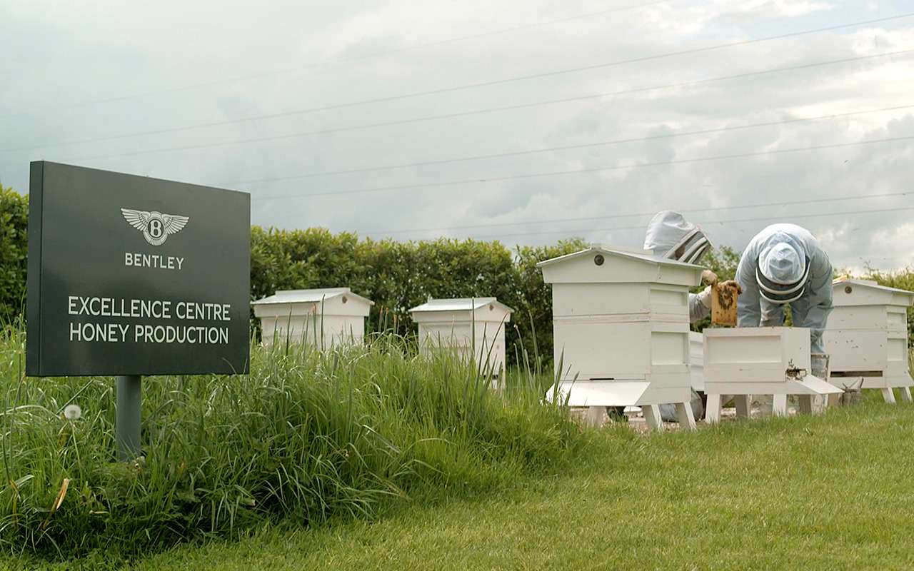 Black Edition Label by Bentley