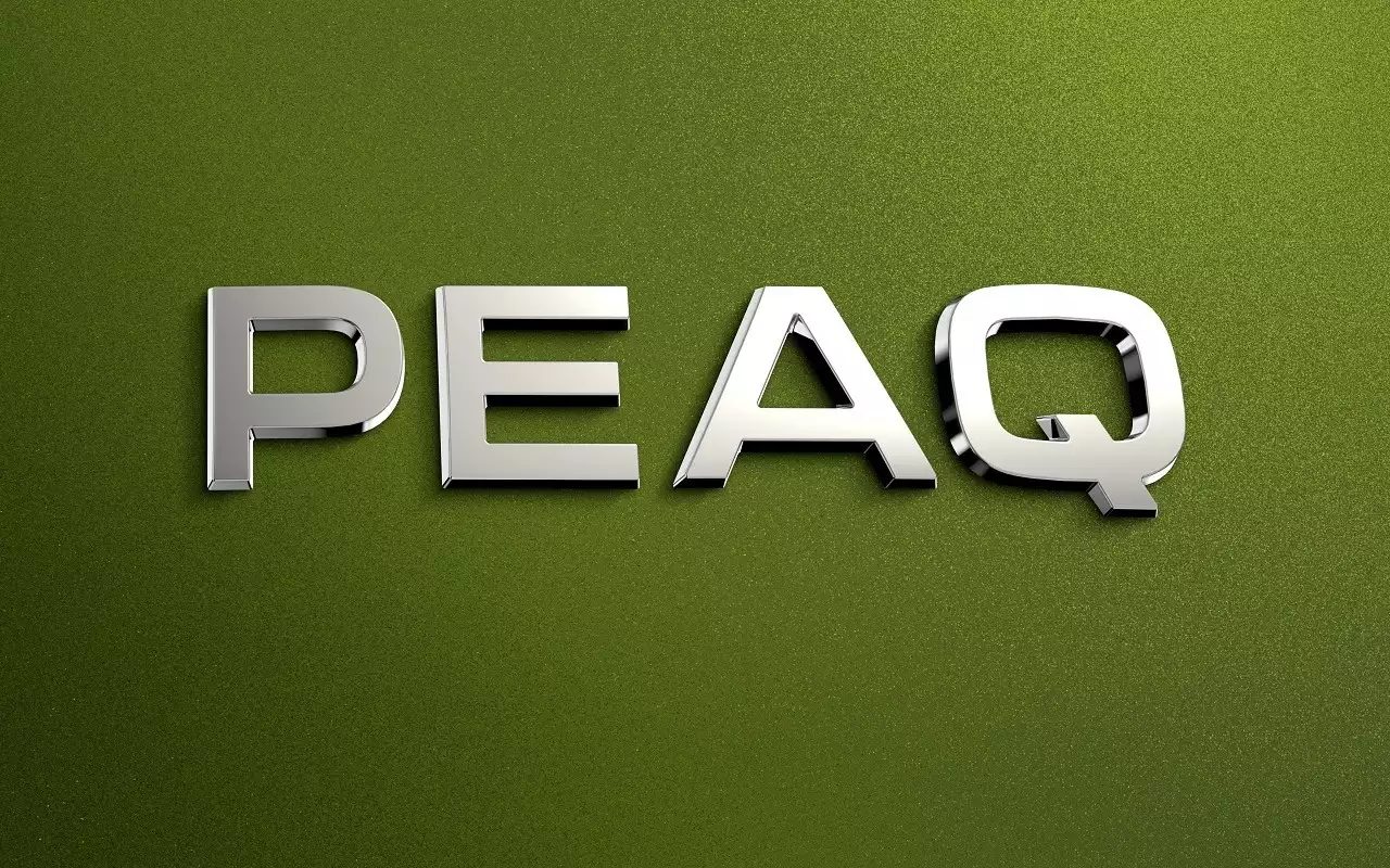 Skoda Peaq