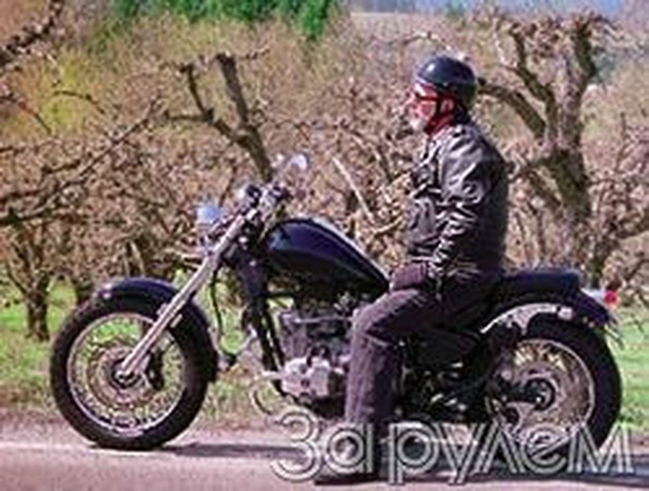 Wolf, он же volk"