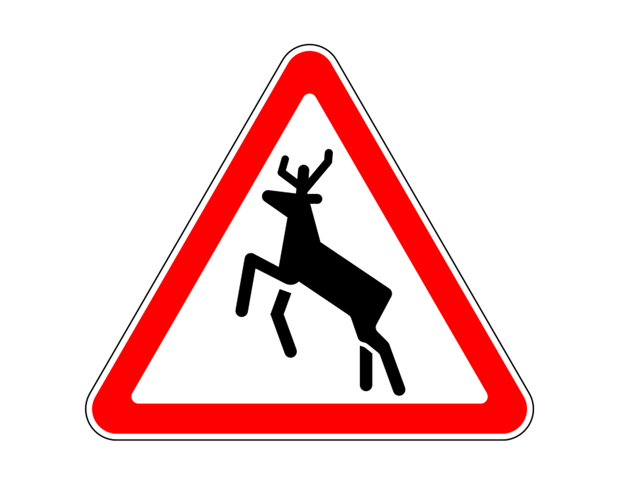 Ягуар сбил лося в Подмосковье