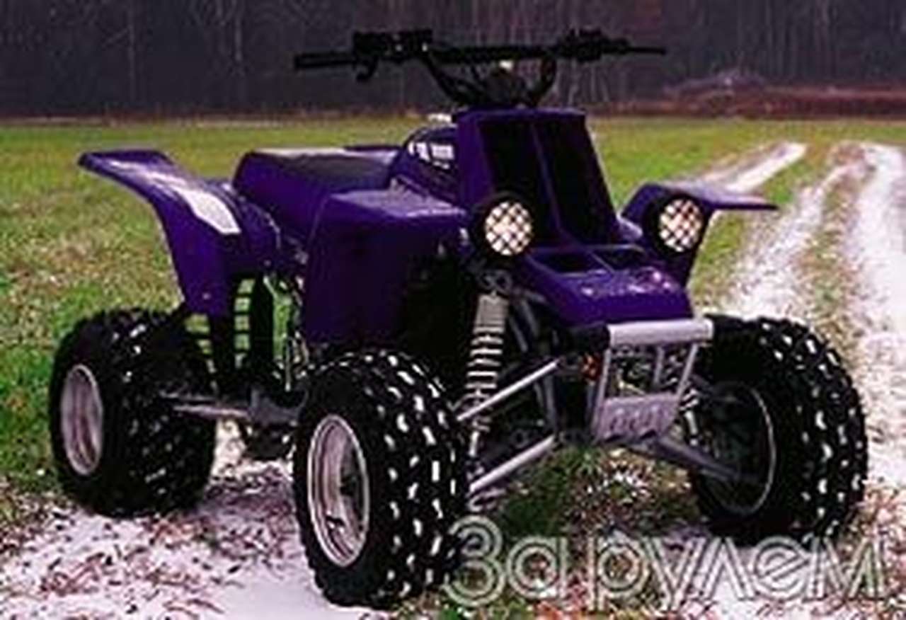 Бешеный какой-то...