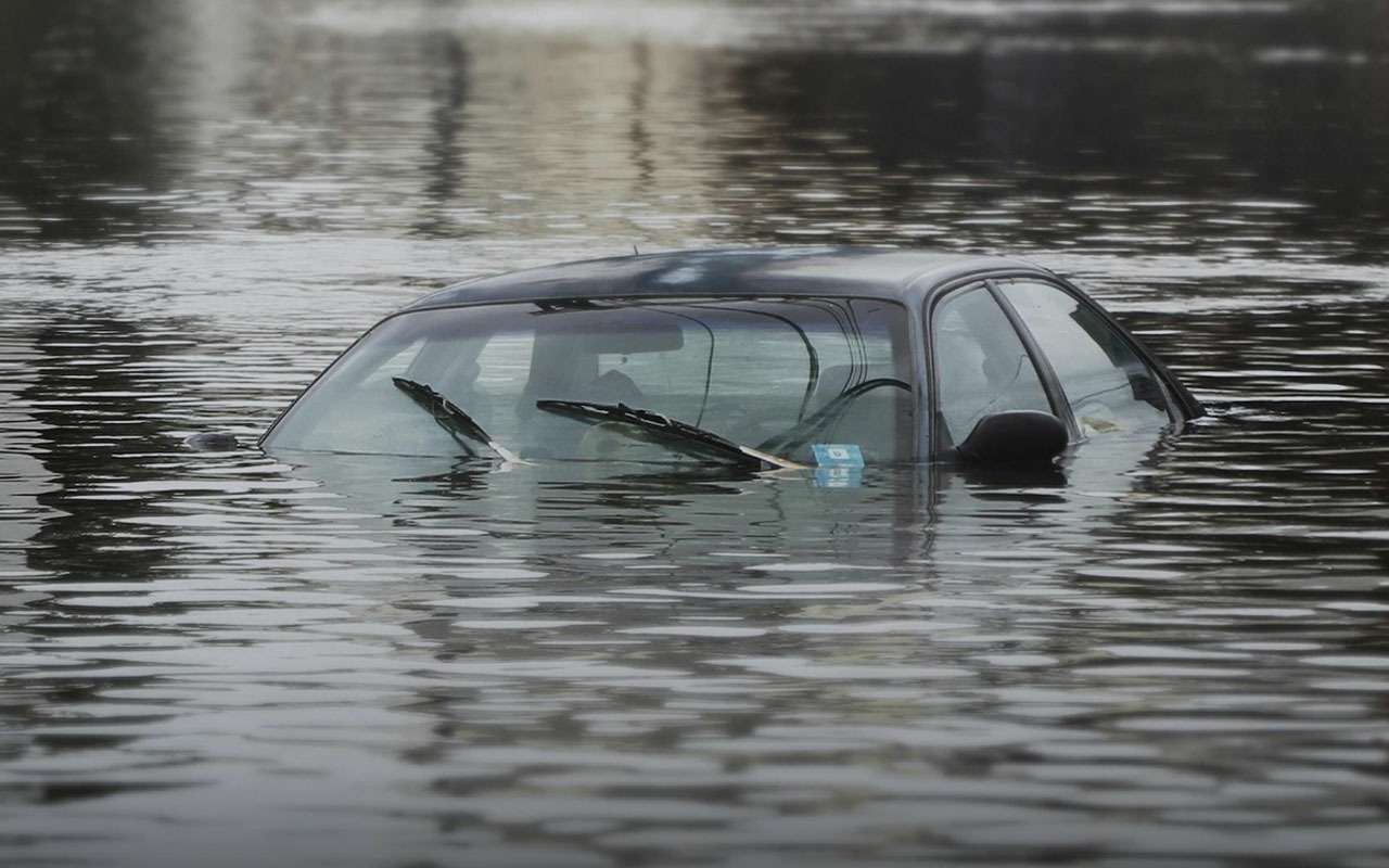 Лето было дождливое: на рынке много «утопленников»