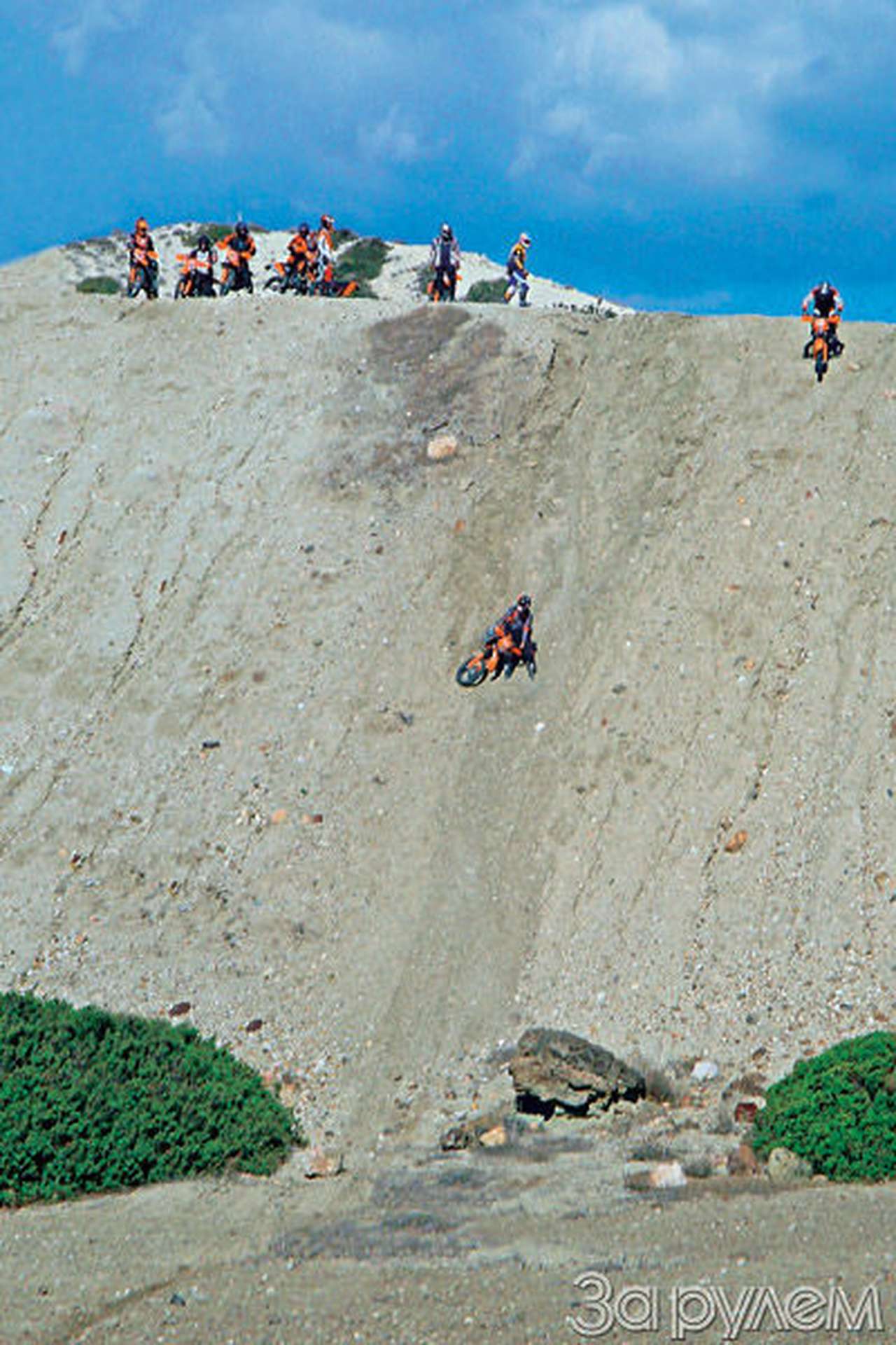 Тур муфлонов