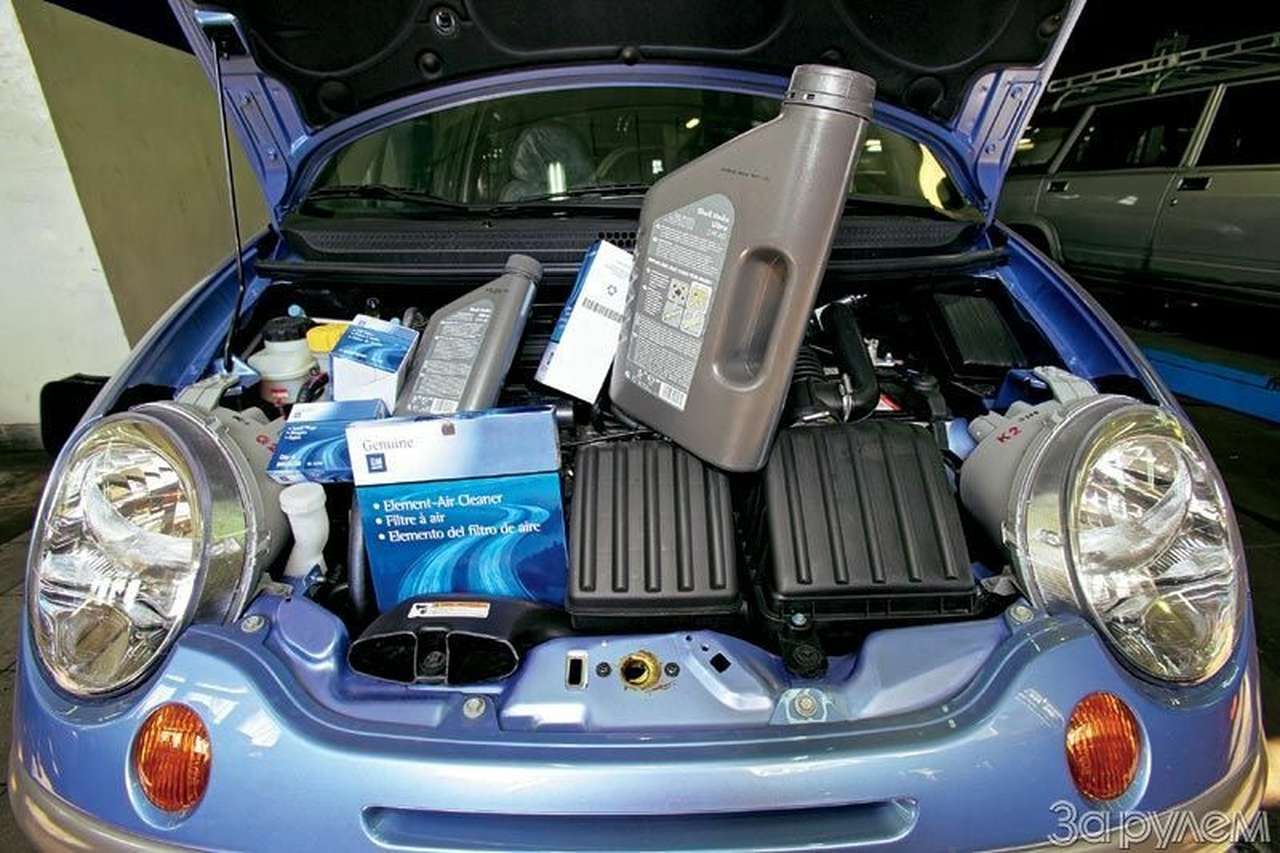 Пони тоже кони