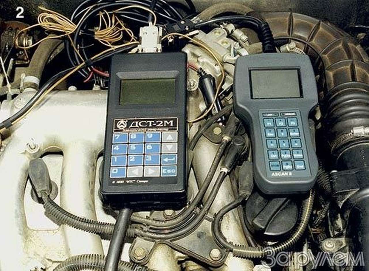 В студеную пору