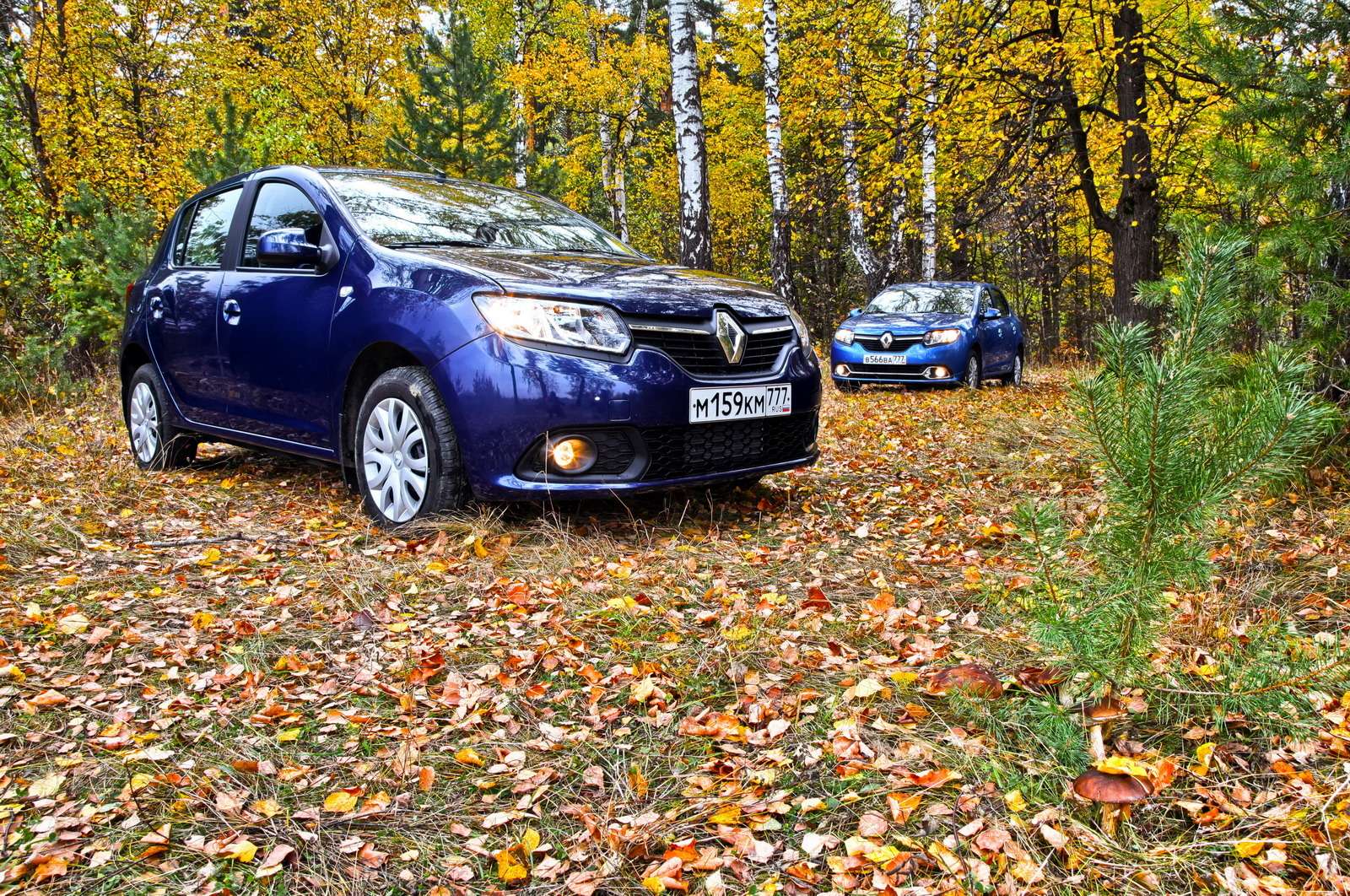 Тест Renault Logan: логанизируй это