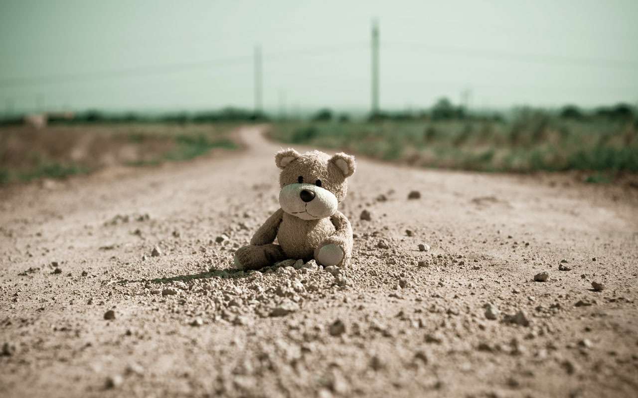 Учительница с ребенком погибли на пешеходном переходе