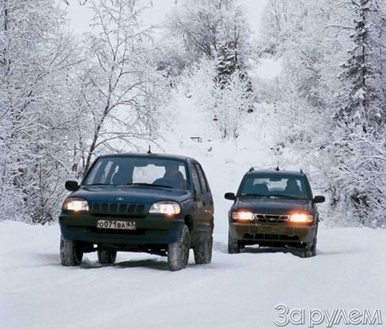 Обманчивое сходство