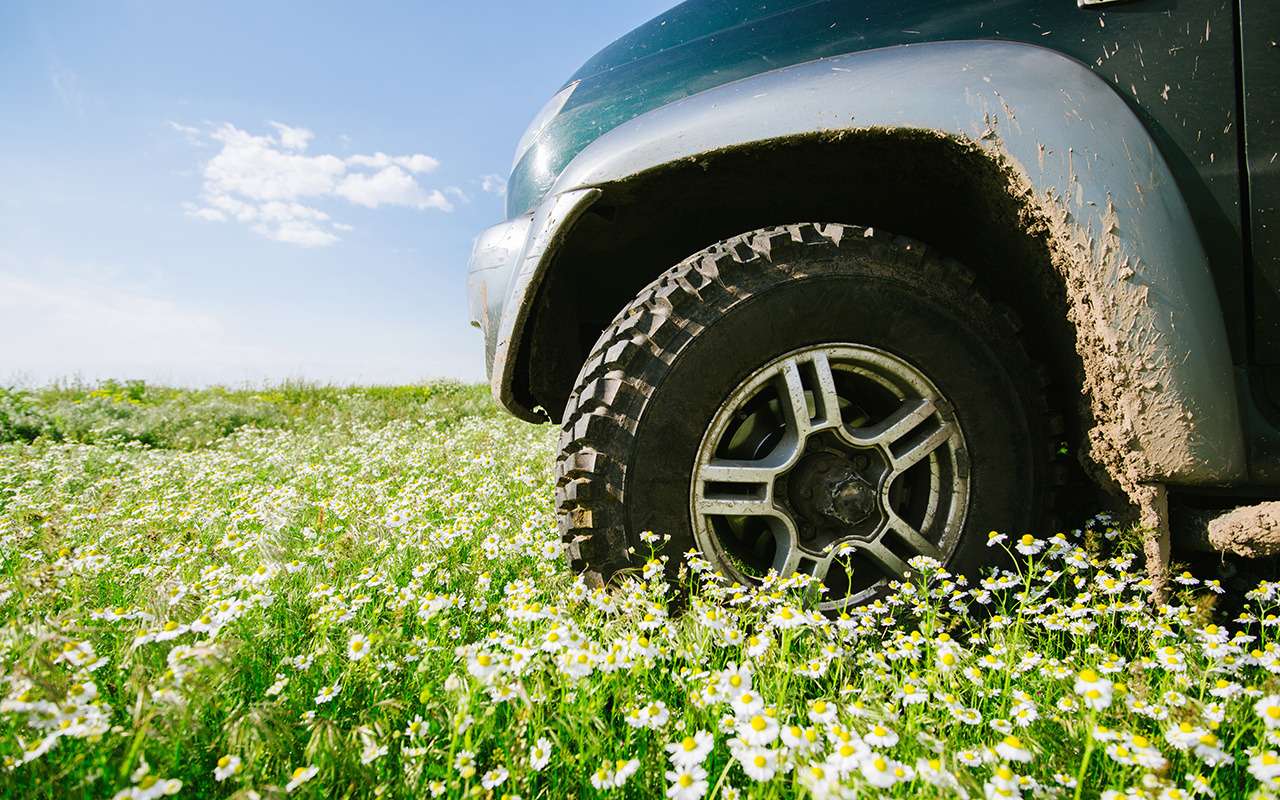 Названы самые популярные кроссоверы и внедорожники на вторичке