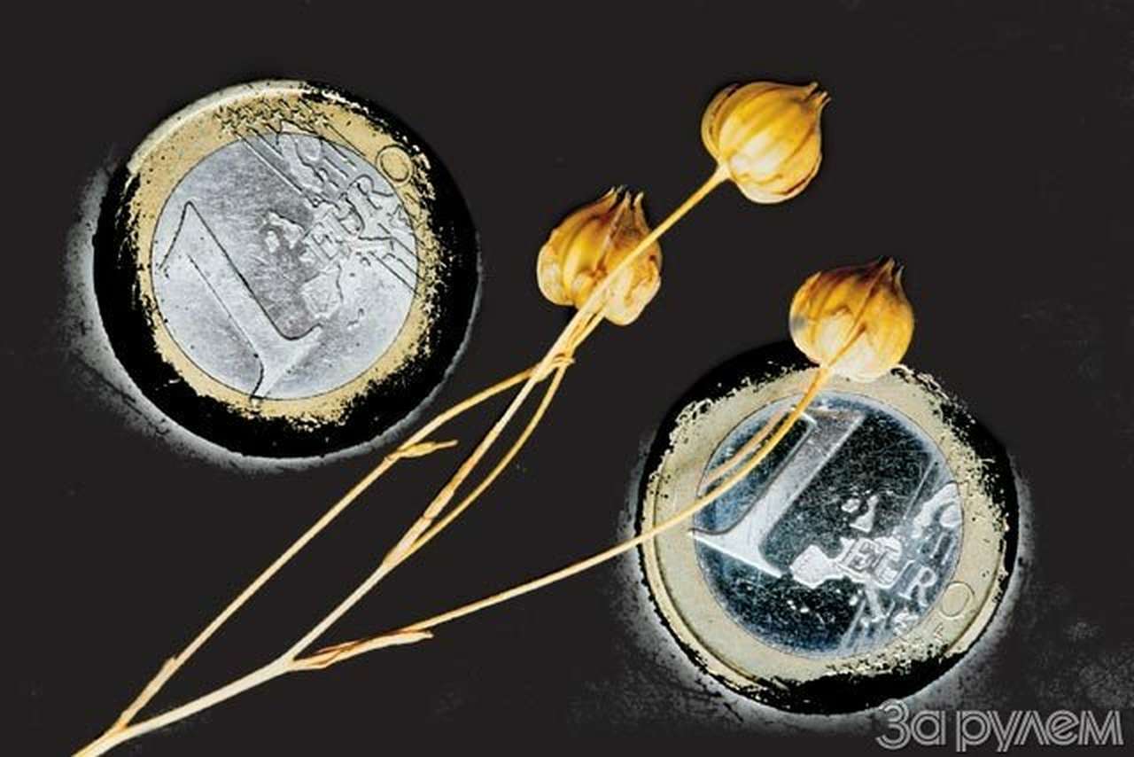 К переходу готовы!