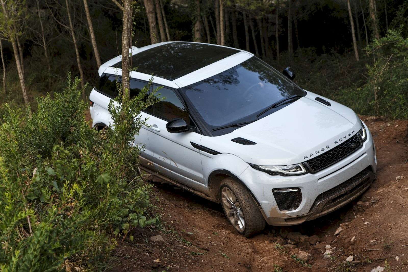 Range Rover Evoque с люком