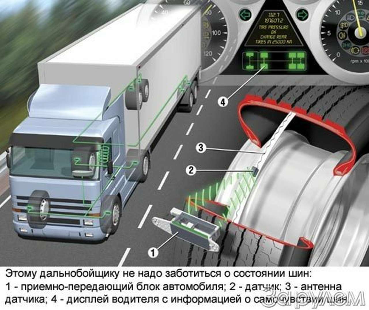 Резиновый интеллект
