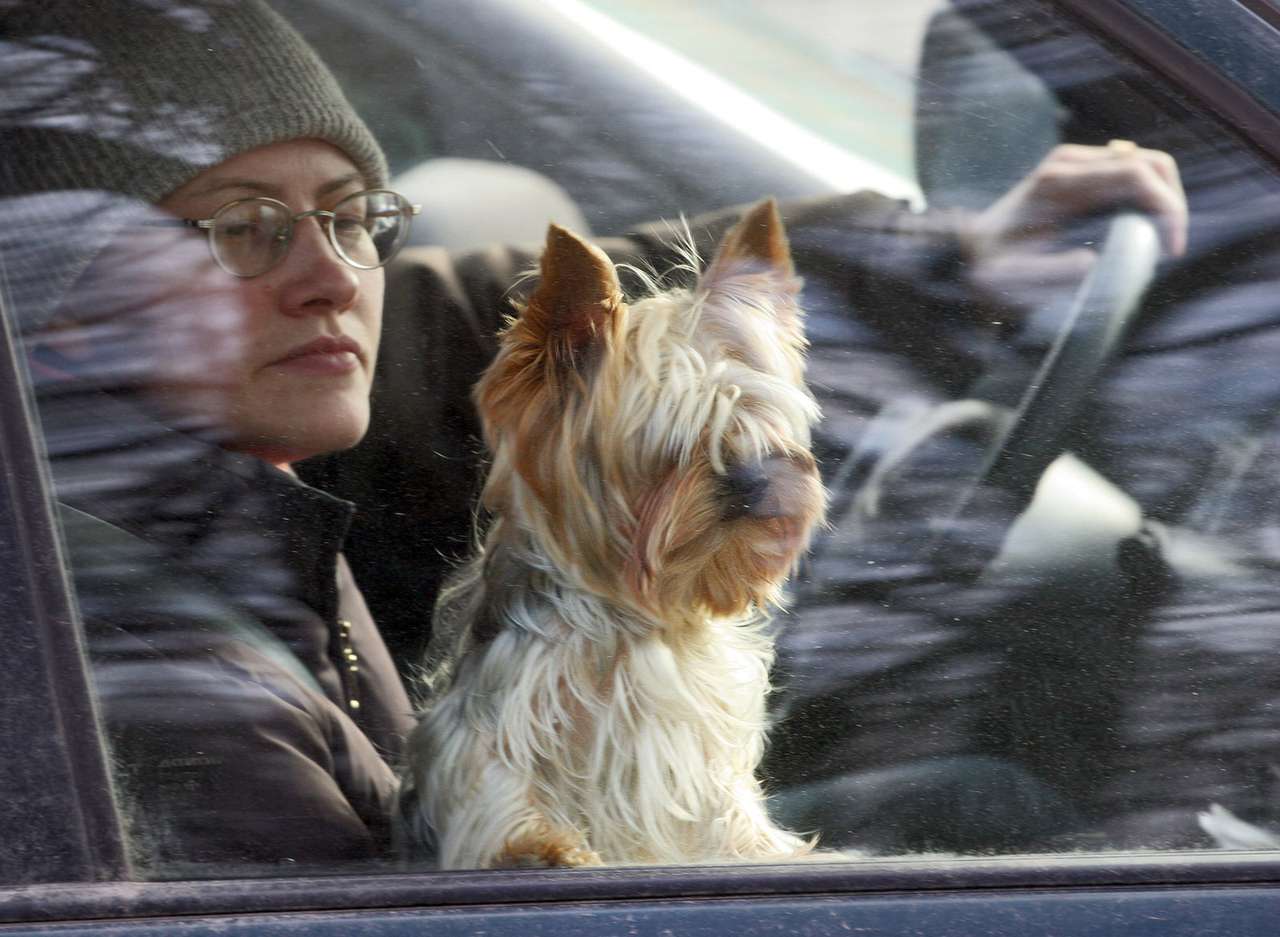 Россияне предпочли личный автомобиль и такси общественному транспорту