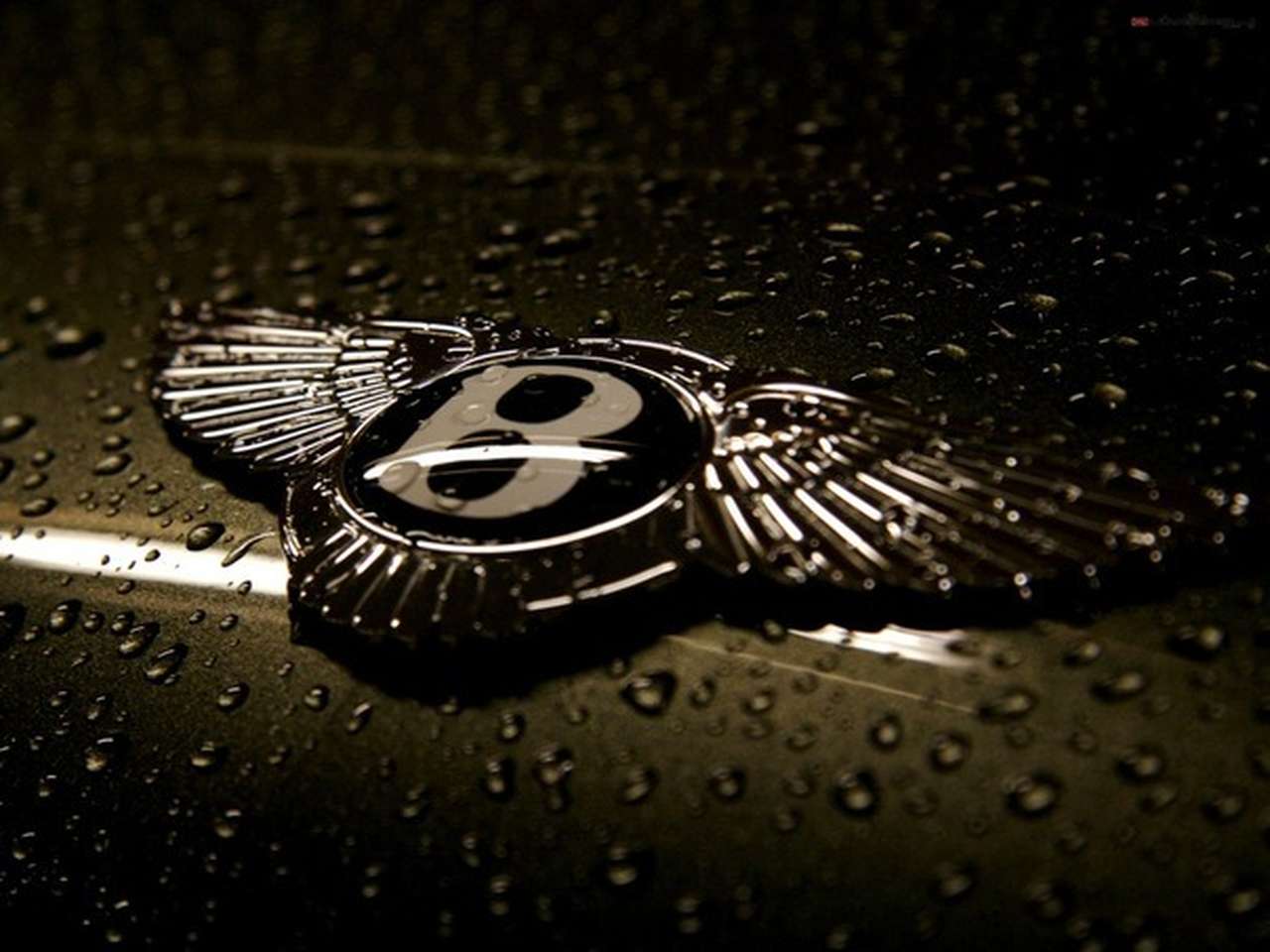 Вдова погибшего водителя Bentley требует 60 млн руб. за моральный ущерб