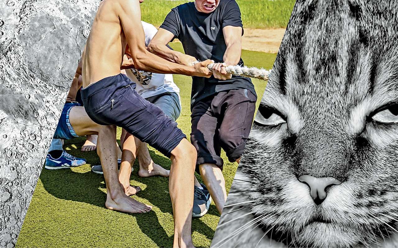 Луна, буксир и кот: 8 вопросов о маслах, аккумуляторах и не только