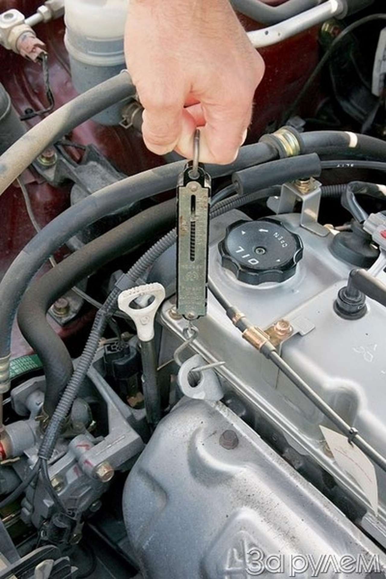 Пода-а-айте таможне… на весы