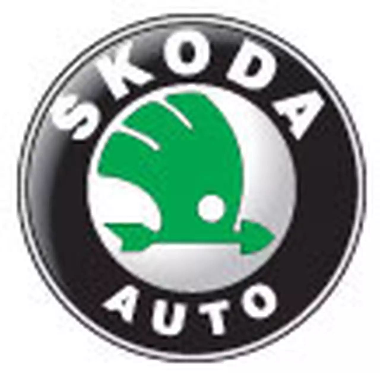 Продажи SkodaAuto на российском рынке выросли на 38,8%