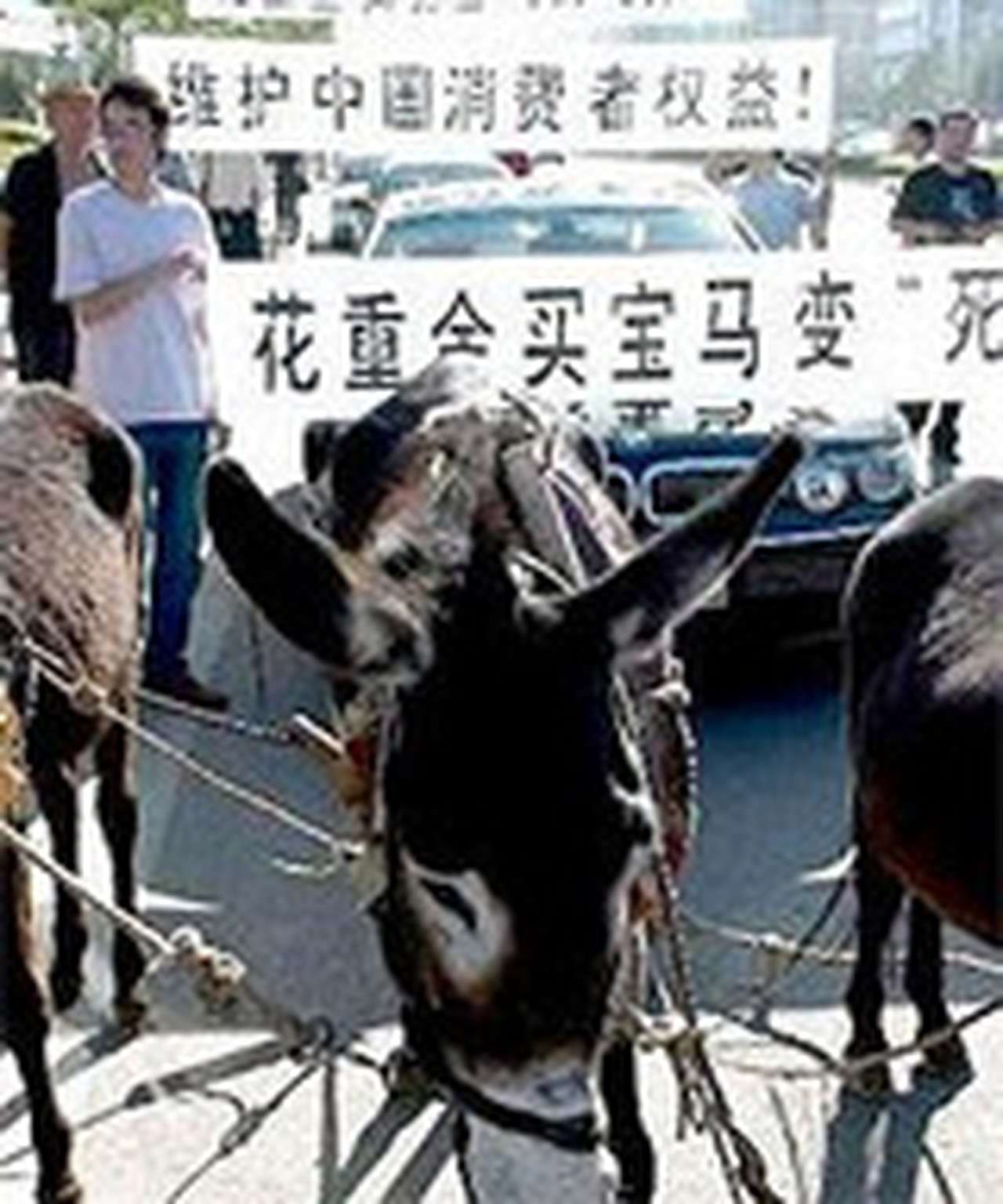 Три "ослиных силы" для BMW