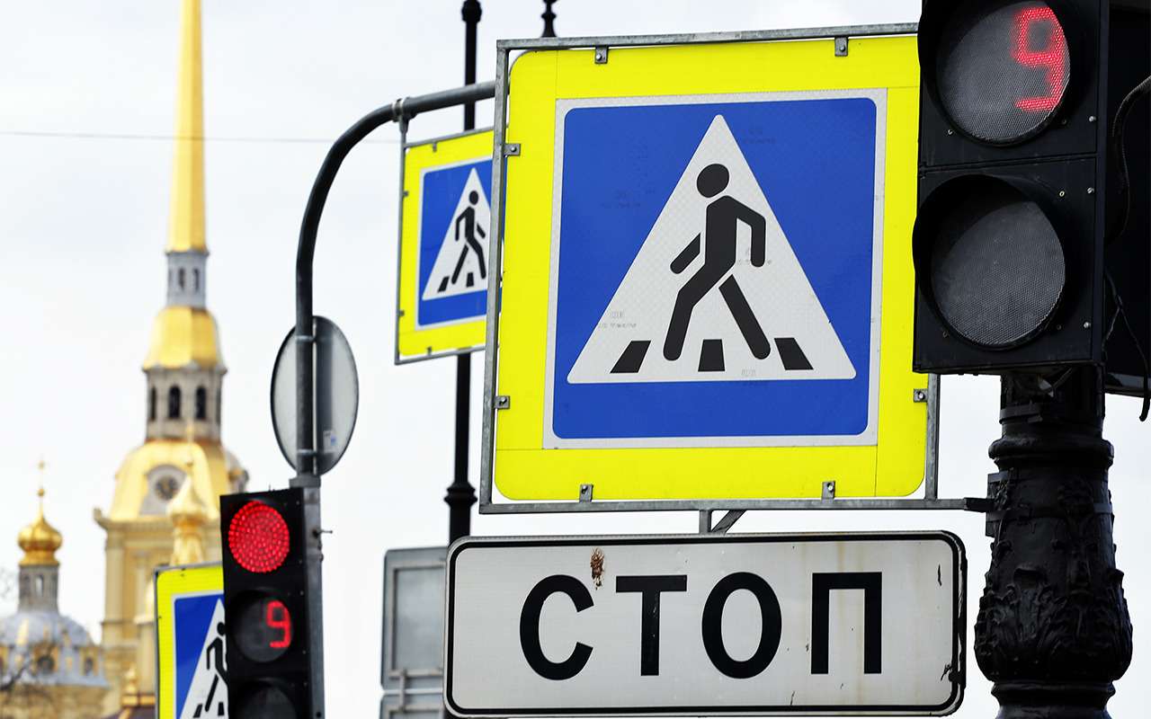 Покаялся, но права отдаст: неадекват из Питера найден