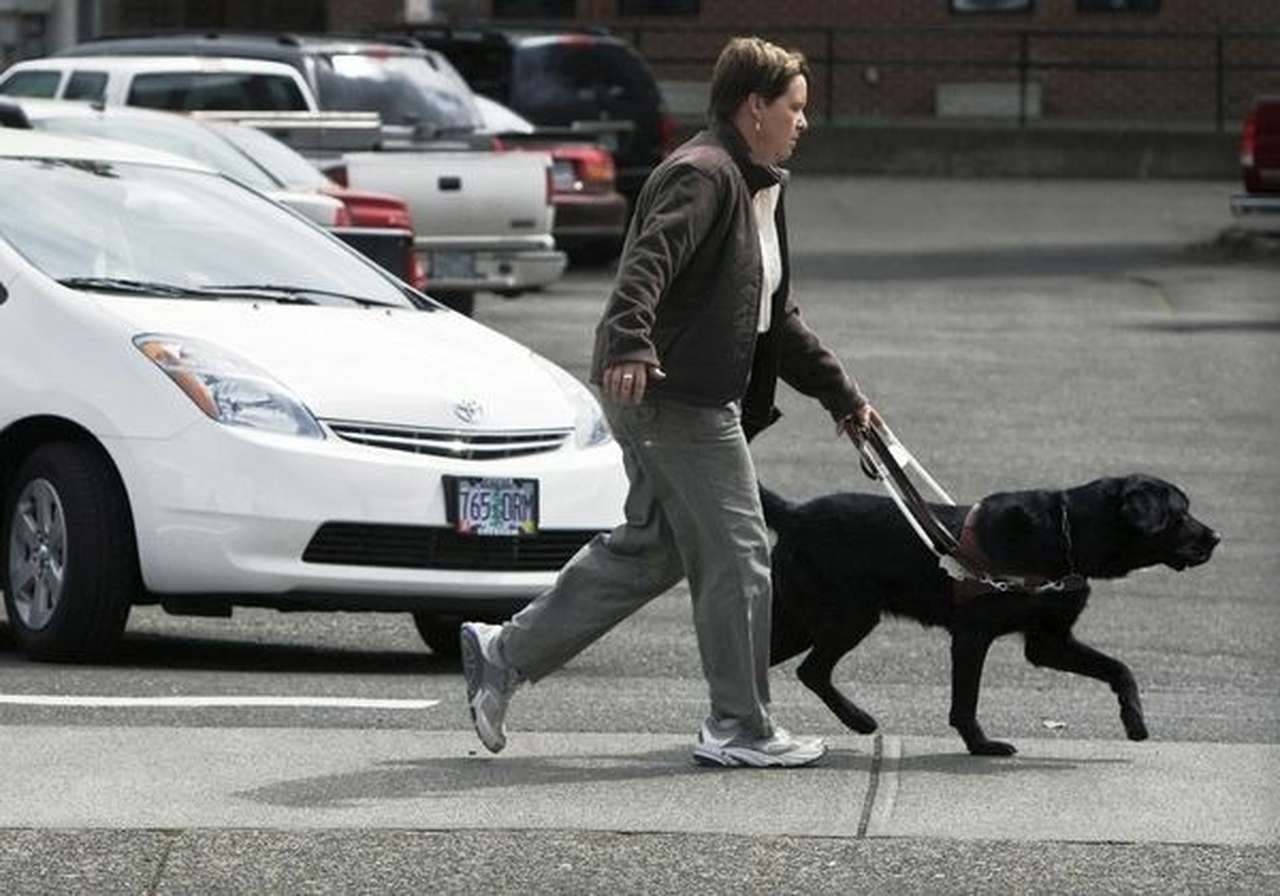 Гибриды оказались опасными для пешеходов