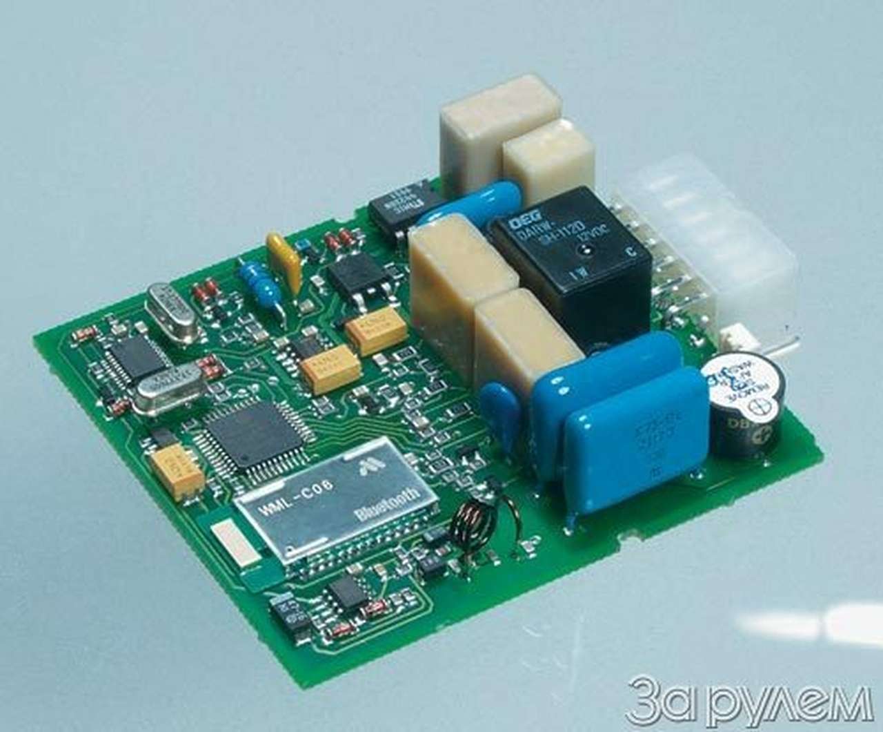 Черный жук с голубыми зубами