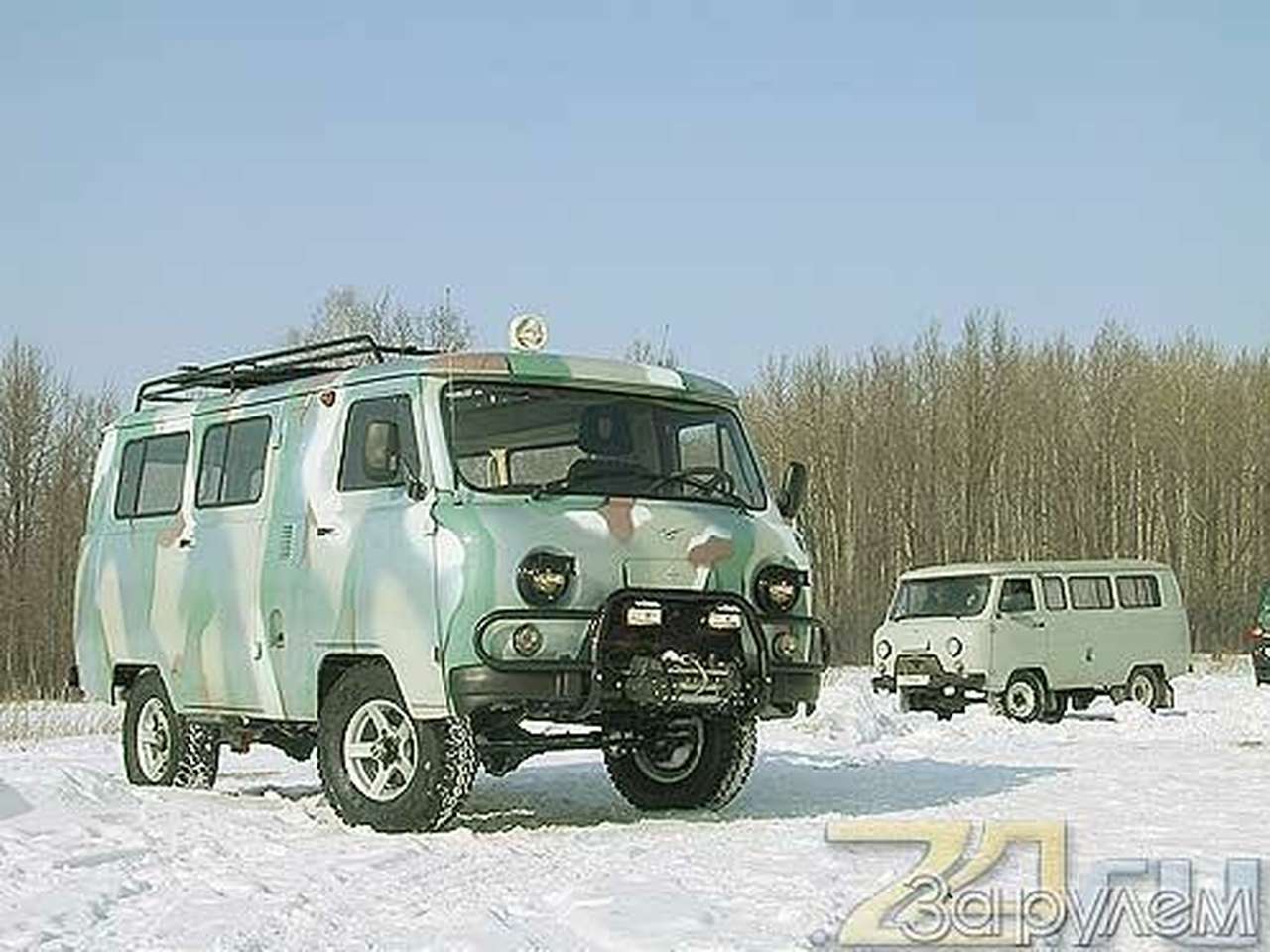 Санитар леса