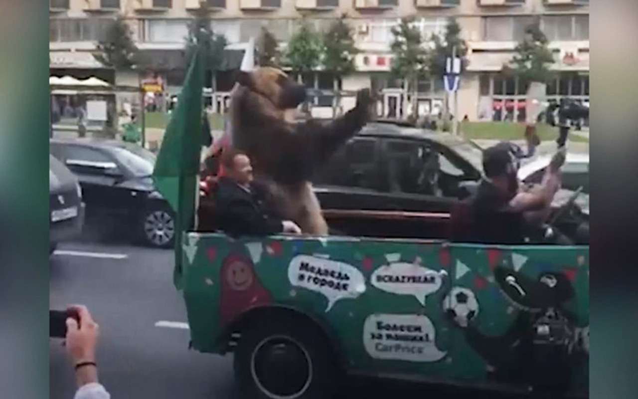 Катание медведя с вувузелой. А что вы хотели — наши победили!
