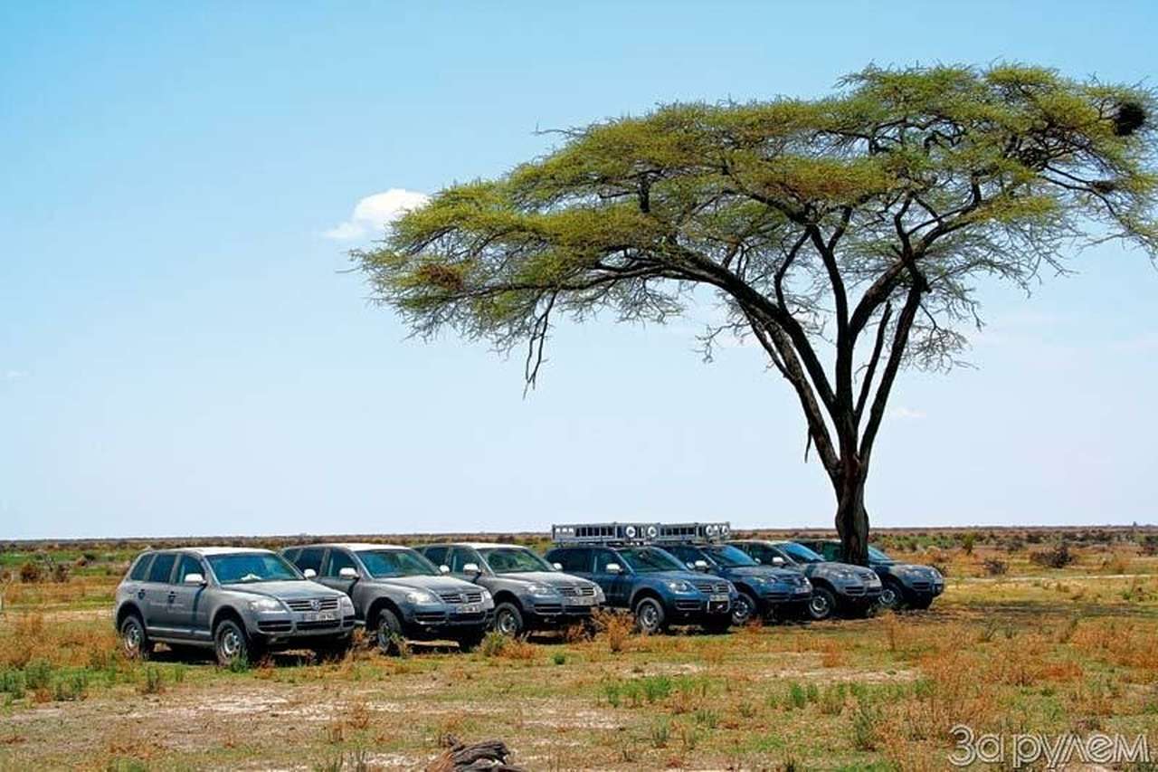 По следам Айболита