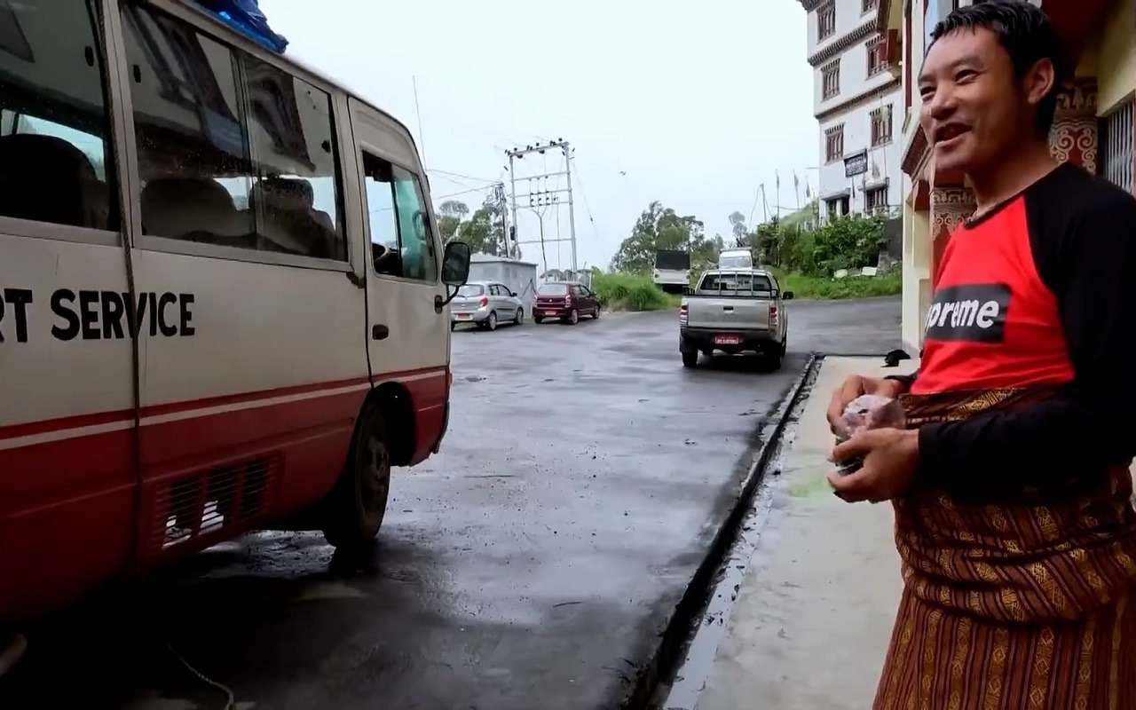 Водители жуют эти листья, чтобы не спать сутками (видео)