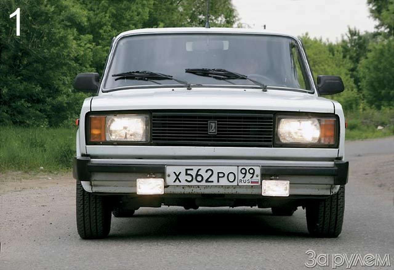 Ежик в тумане