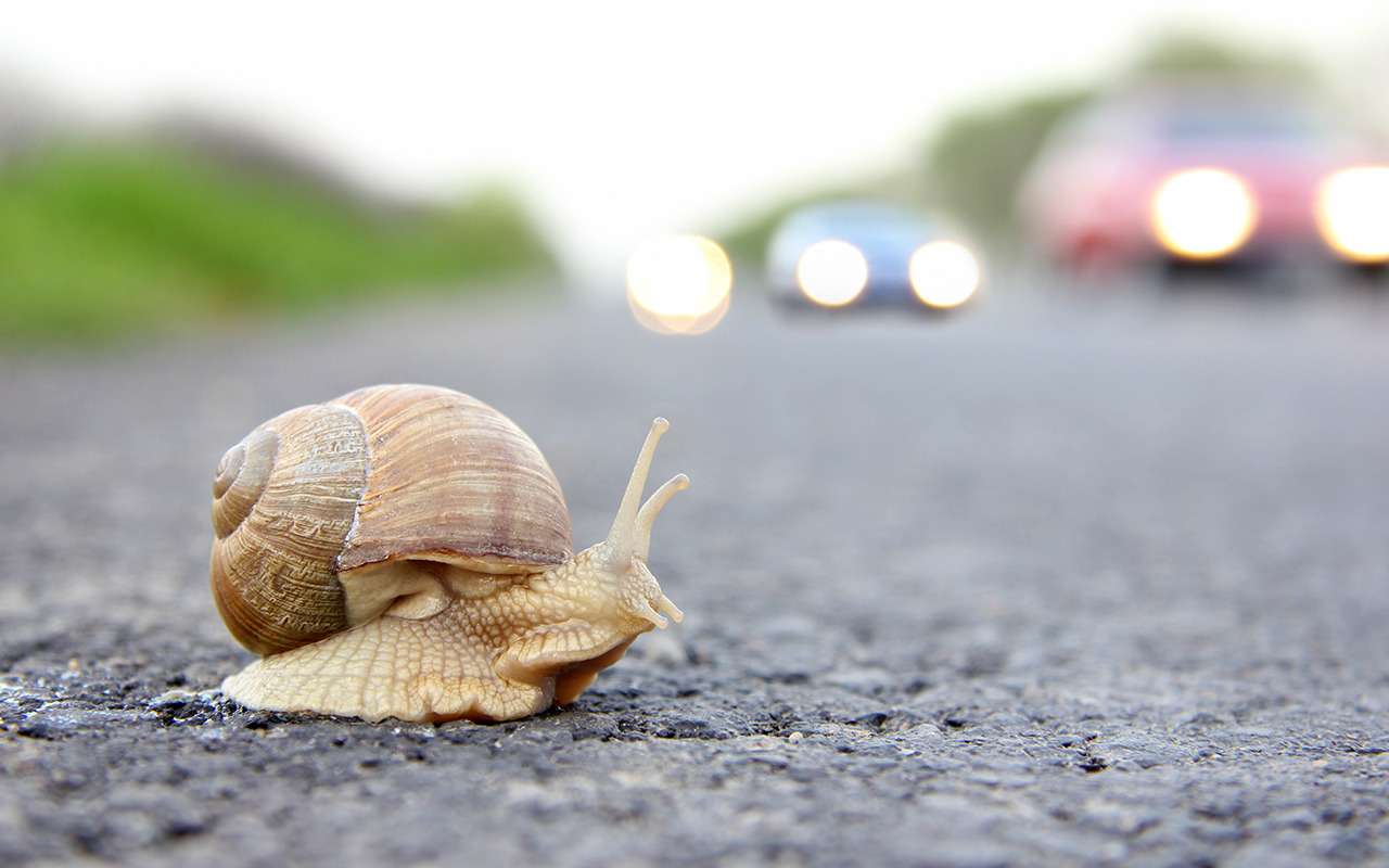 Медленные водители стали провоцировать больше аварий
