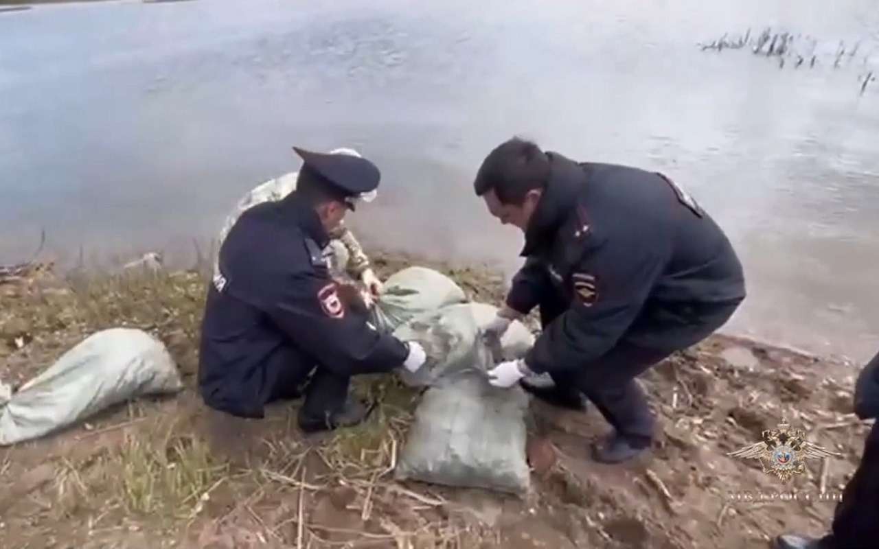 Поймали с раками: в машине ехали тысячи членистоногих (видео)