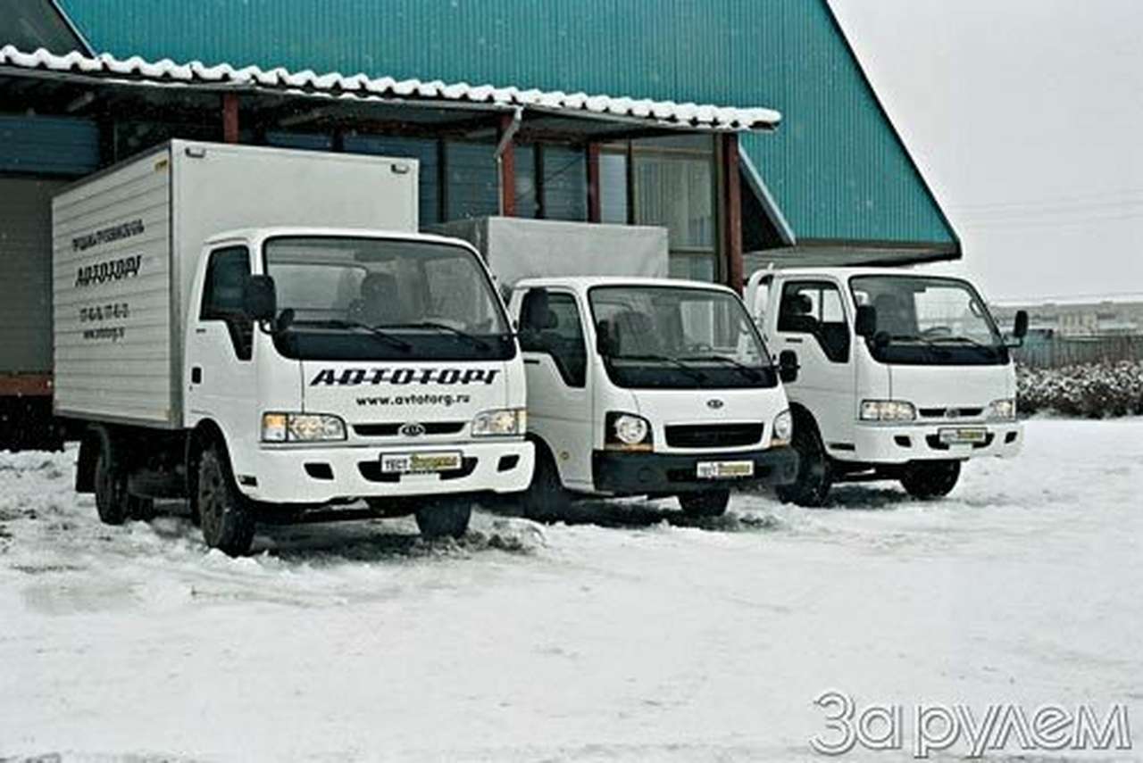 Балтийские головастики