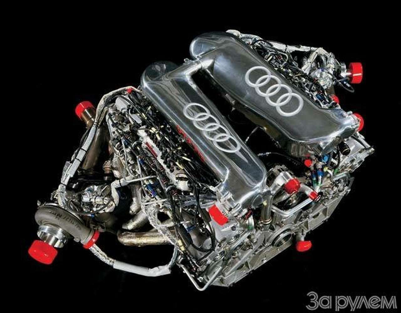 Сердце на распашку