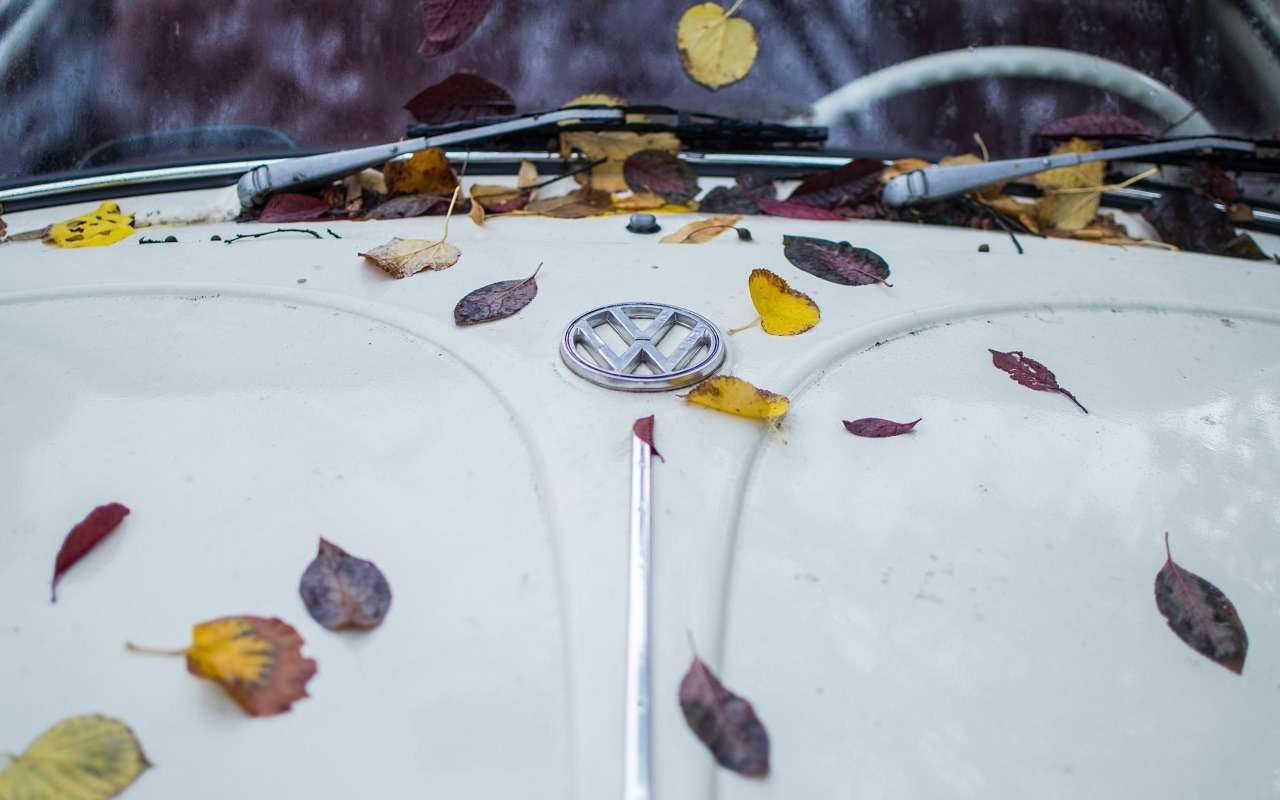 Вернется ли Volkswagen: вот что известно