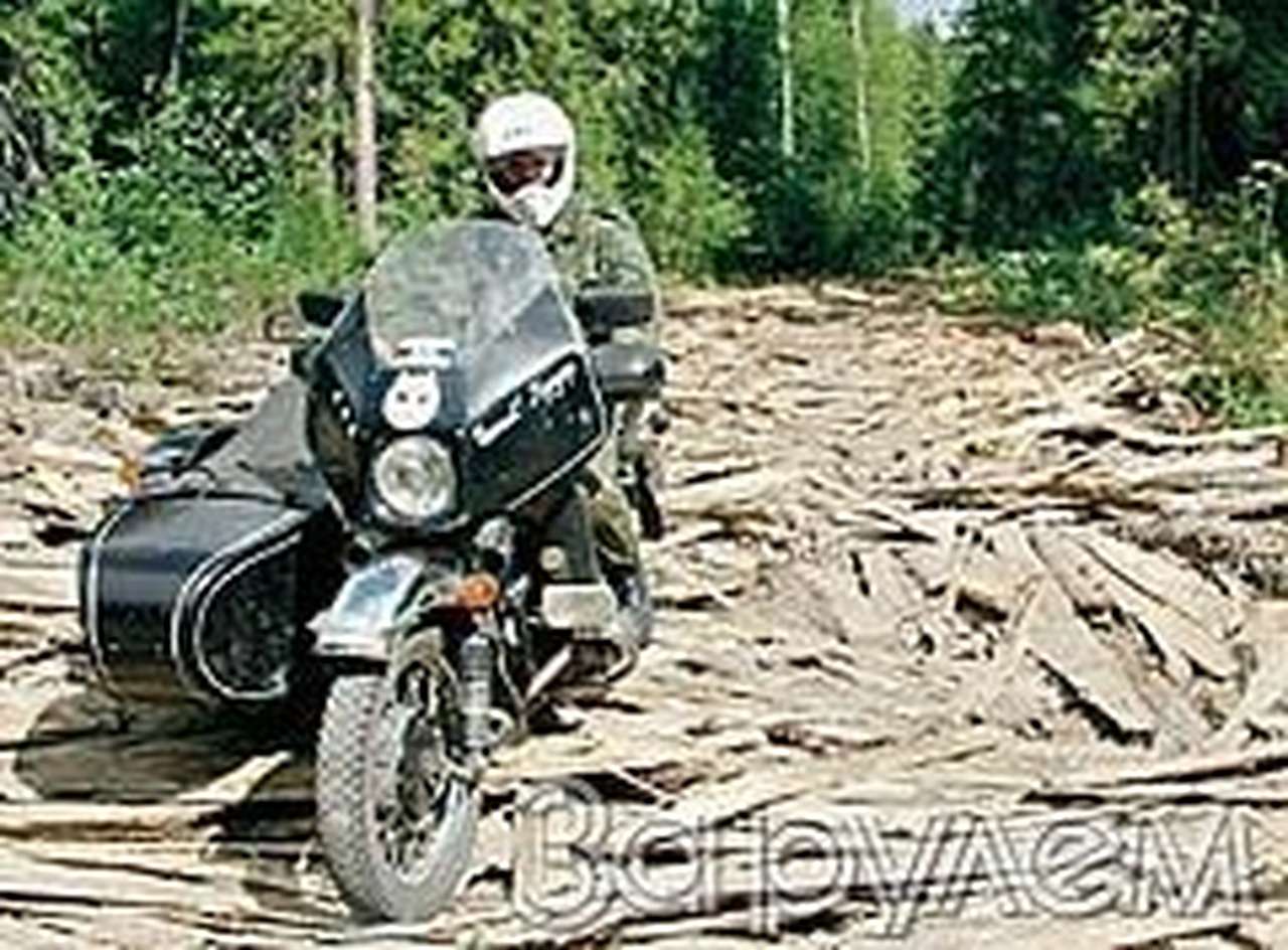 Кугуар, он лучше танка