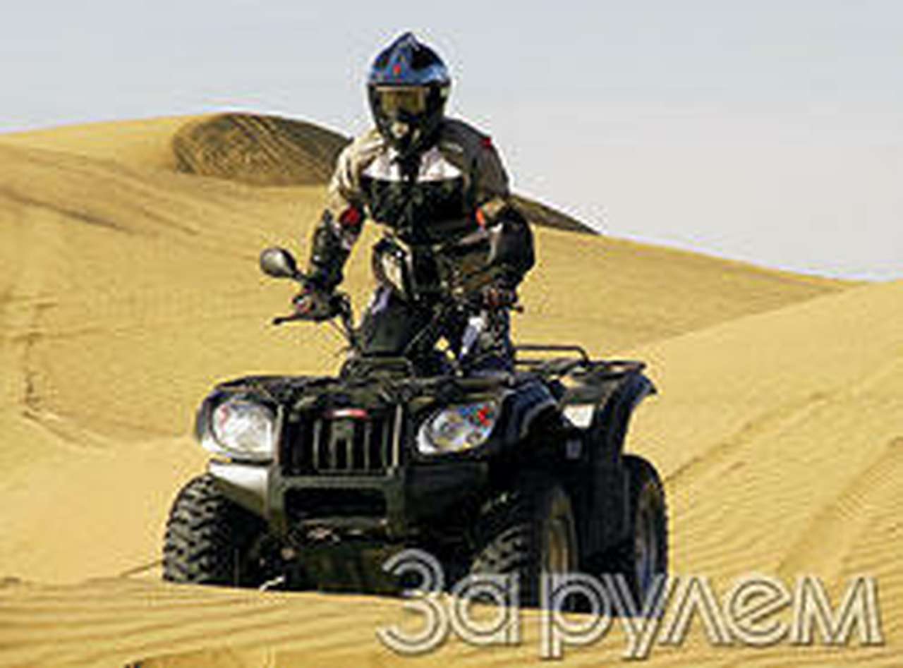 Наелись песка по горловину