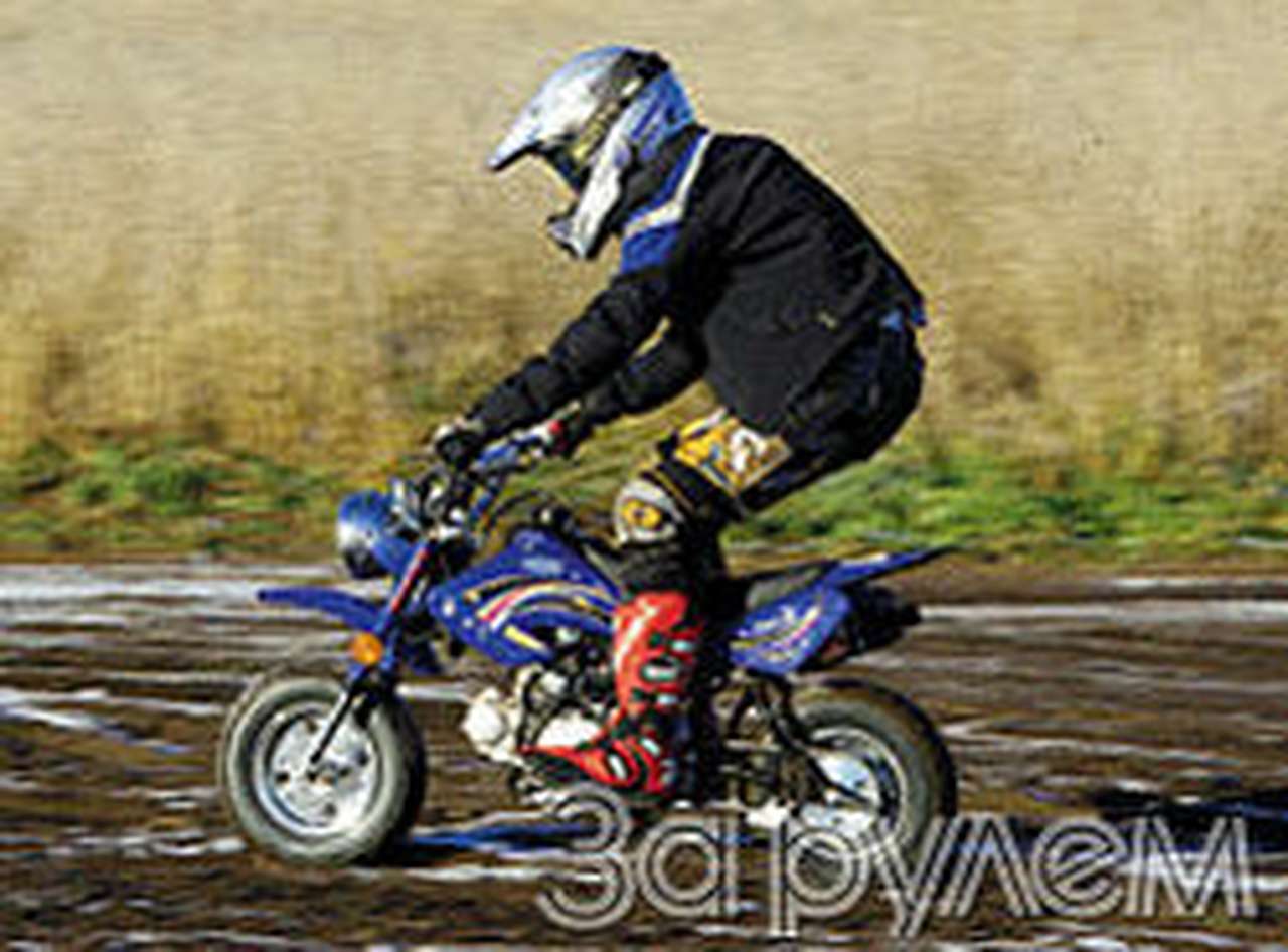 Пузатый забияка 