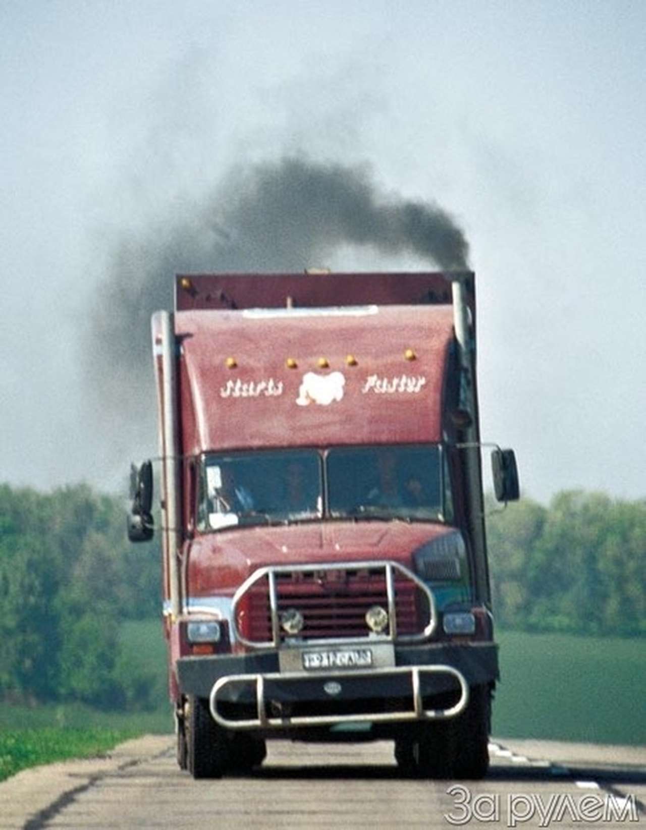 Где найти защиту от яда